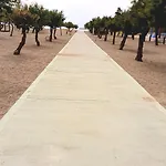 Bugenvilija * Duće