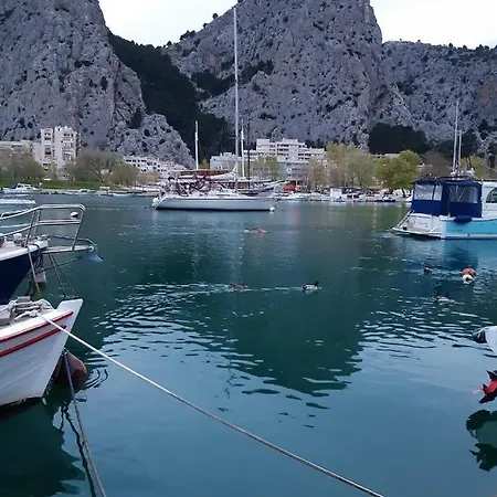 Bugenvilija * Duće