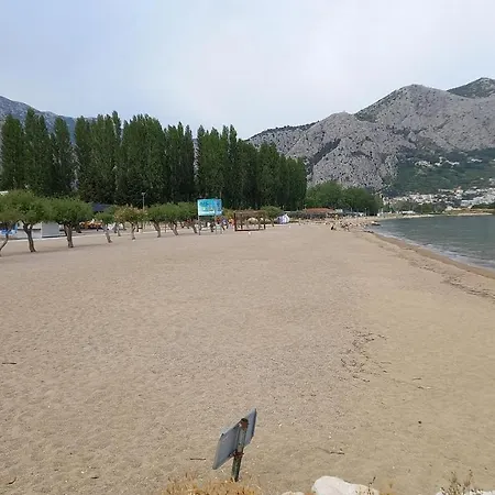 Bugenvilija *