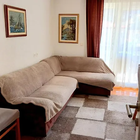 Bugenvilija Daire Duće
