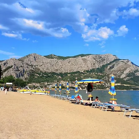 Bugenvilija Daire
