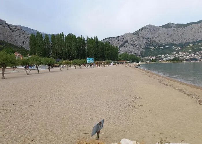 Bugenvilija *
